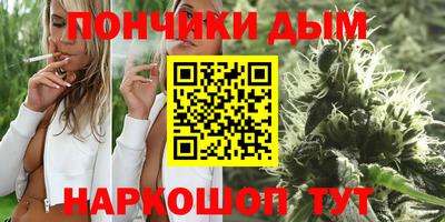 индика Гусиноозёрск