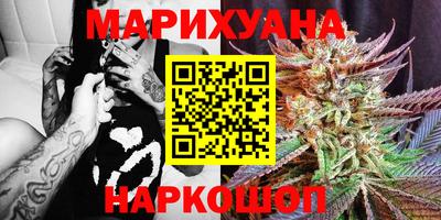 индика Гусиноозёрск