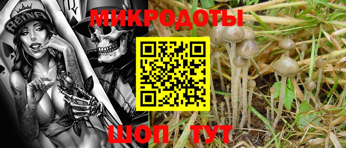 Воскресенск  Псилоцибиновые грибы Magic Shrooms  Вход с VPN 